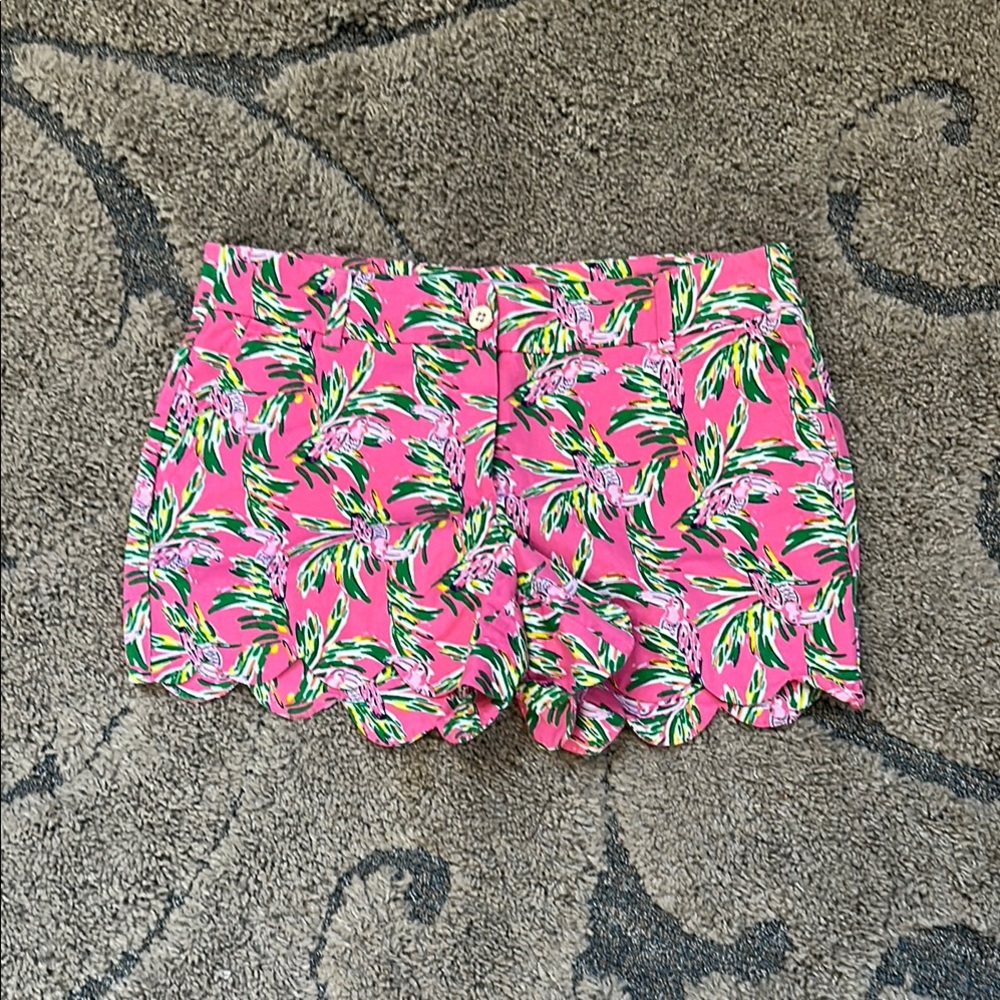 Crown & Ivy size 8 shorts
